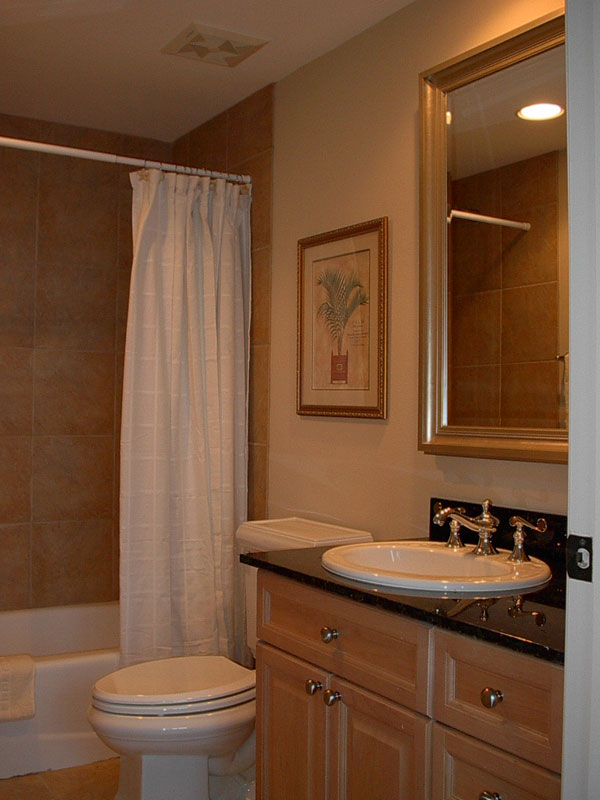 The Guest Bathroom